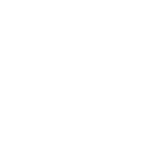 Sul América